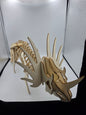 Triceratops Wood Skeleton